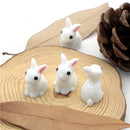 White Rabbit 3D Resin - Pack of 5