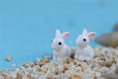 White Rabbit 3D Resin - Pack of 5