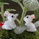 White Rabbit 3D Resin - Pack of 5