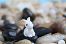 White Rabbit 3D Resin - Pack of 5