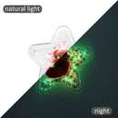 Christmas Star PVC Shaker Applique