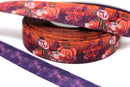 7/8” USDR Double Sided Fall Dragon Ribbon