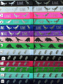 Dinosaur Interchangeable Headband