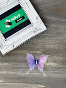 Organdy Butterfly Applique - Pack of 2