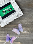 Organdy Butterfly Applique - Pack of 2