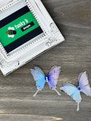 Organdy Butterfly Applique - Pack of 2