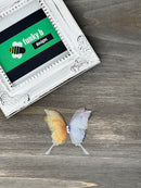 Organdy Butterfly Applique - Pack of 2