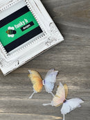 Organdy Butterfly Applique - Pack of 2